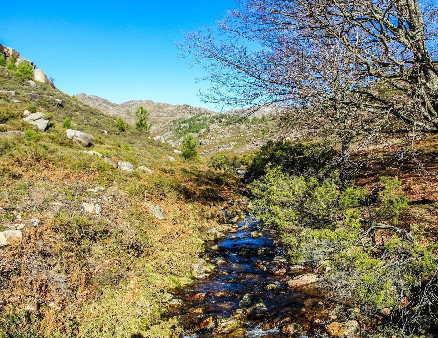 Aldeia de Pincães